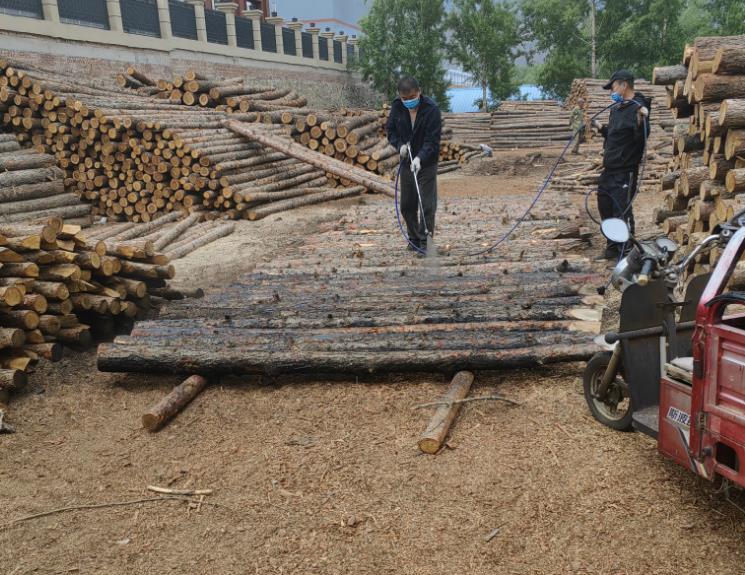 從松木樁到美麗庭園，來(lái)看如何打造完美景觀